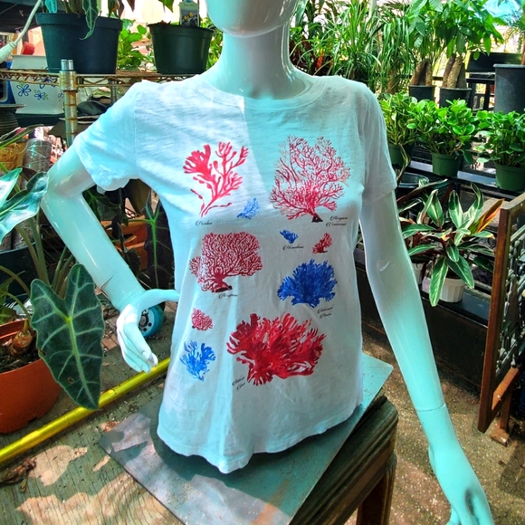 J Crew T Shirt - Picture 1 of 1